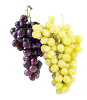 Wein